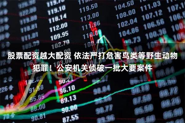 股票配资越大配资 依法严打危害鸟类等野生动物犯罪！公安机关侦破一批大要案件